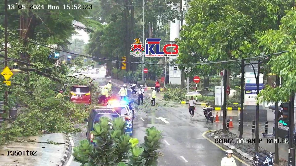 午後豪雨 隆市又發生樹倒壓車事故