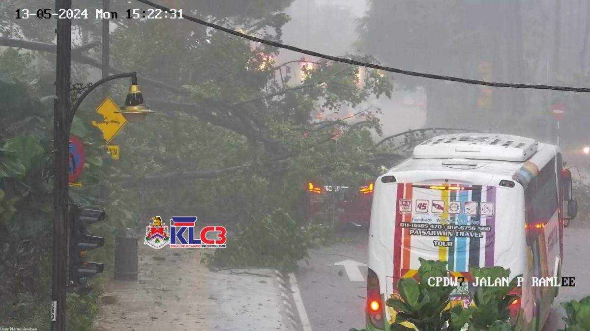 午後豪雨 隆市又發生樹倒壓車事故