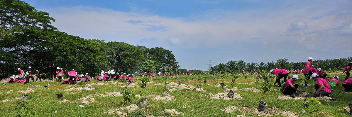 大臣：近打自然生态公园 将成霹旅游年一大卖点