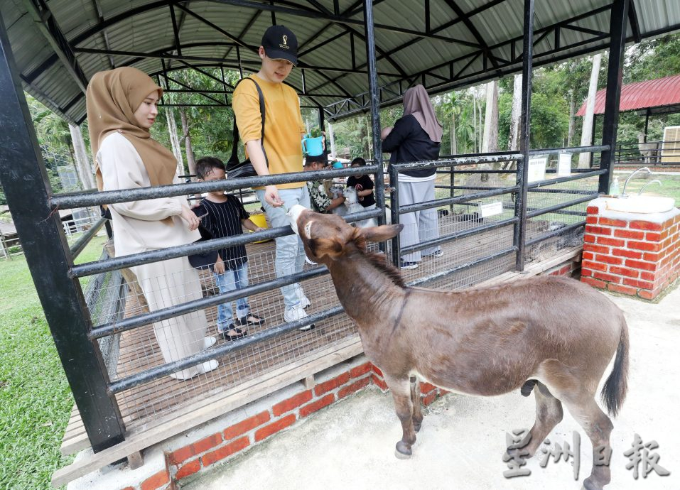 大都會/封面/沙亞南國家植物園迎來全新動物園／17圖