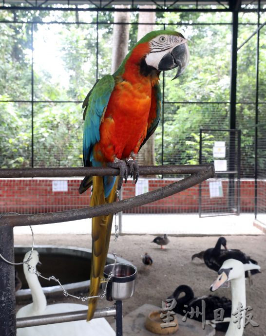 大都會/封面/沙亞南國家植物園迎來全新動物園／17圖