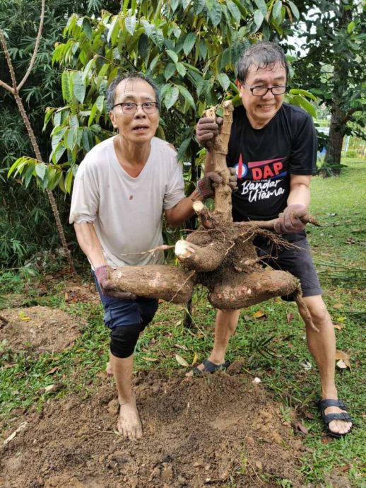 大都会/系列稿/绿意盎然/5月8日见报（周三刊登）／多图