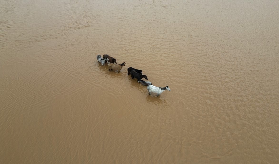 巴西南里奥格兰德州暴雨死亡人数升至39人