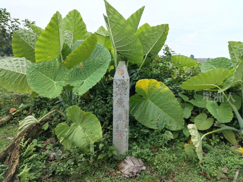 墓前矗立的董叔和殉學紀念碑，後為其墓 (1)