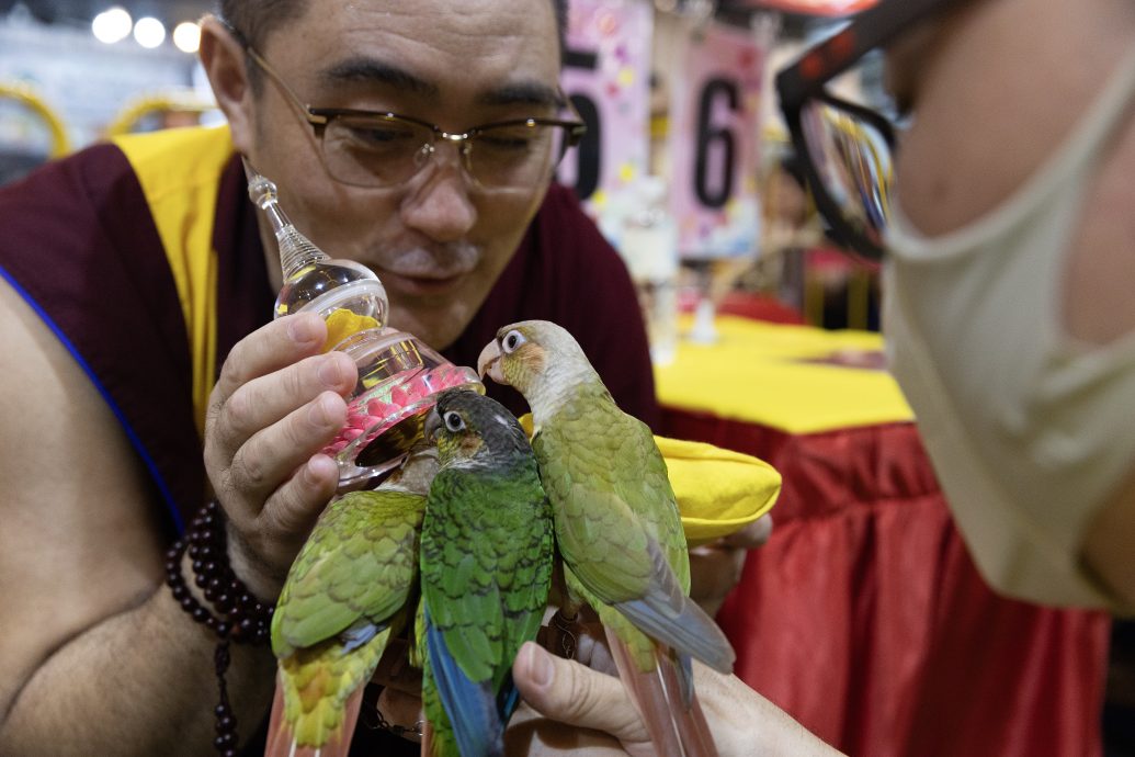 狮城大乘禅寺庆卫塞节 为宠物加持祈福