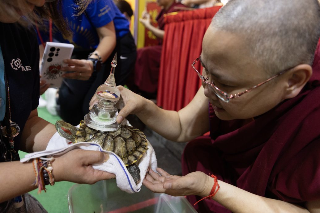 狮城大乘禅寺庆卫塞节 为宠物加持祈福