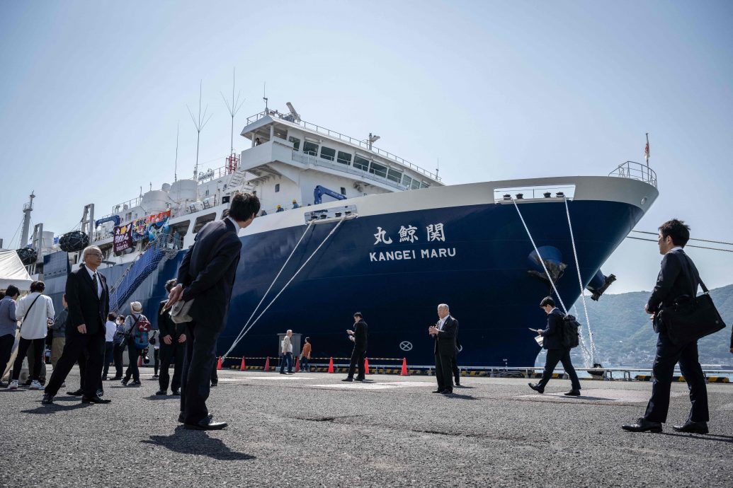 看世界   日本新捕鲸母船“关鲸丸”启航 展开首次捕鲸活动
