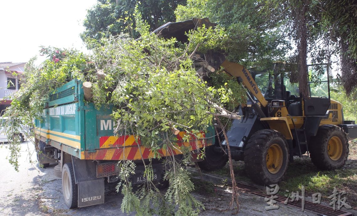 草场耕种养蚊 怡市厅铲除非法菜园