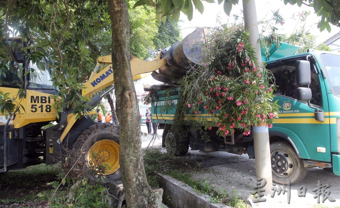 草场耕种养蚊 怡市厅铲除非法菜园