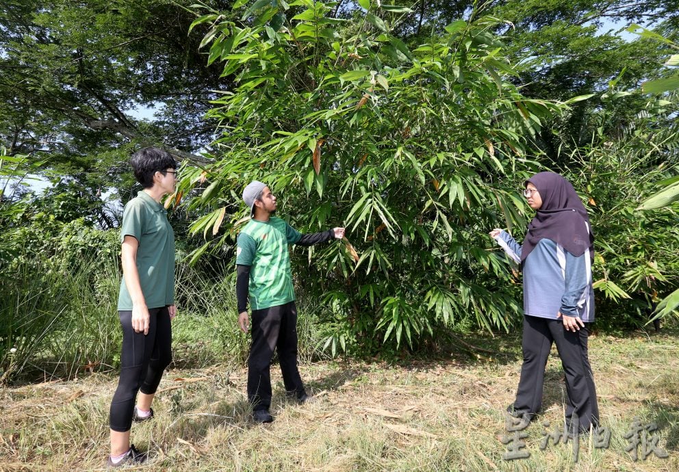 近打生態園珍貴溼地觀鳥區  湖泊孤島候鳥翔聚