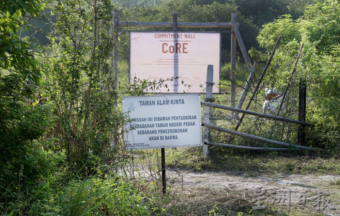 近打生态园珍贵湿地观鸟区  湖泊孤岛候鸟翔聚