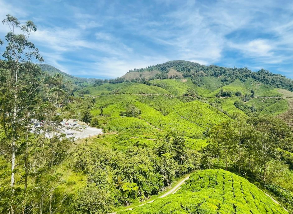 金马仑业者：两地距离远 山洪发生在打巴非金马仑 