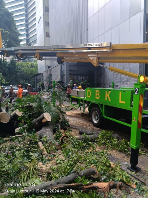 隆市午间大雨酿5树倒·共10辆轿车及民宅受毁