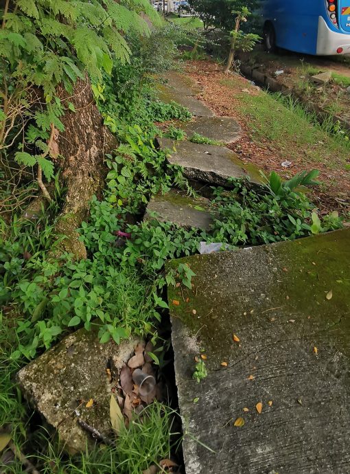 （已簽發）柔：民生特工隊：柔佛花園蓄水池公園毛病叢生，居民盼望改善提升