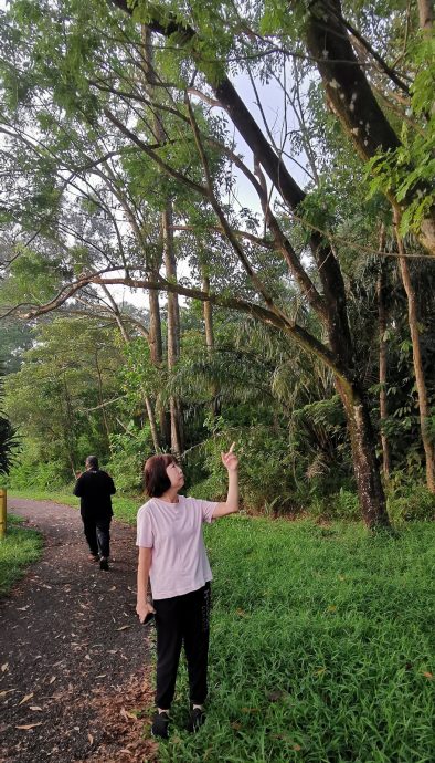 （已簽發）柔：民生特工隊：柔佛花園蓄水池公園毛病叢生，居民盼望改善提升