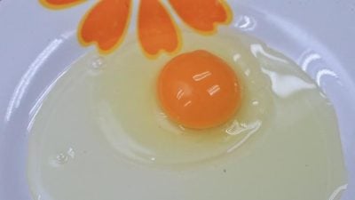 【雞蛋02】好蛋vs壞蛋
