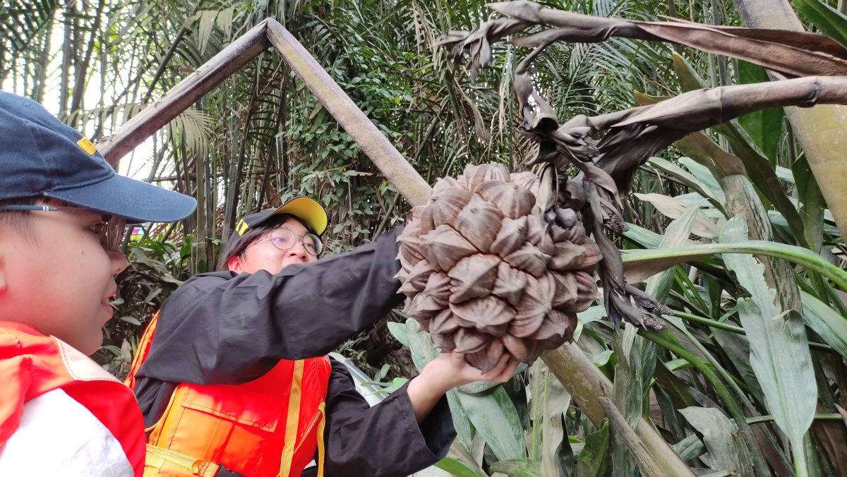 15/6 交大北馬/“發現砂拉越”：去一個只能乘船探索的國家公園─馬魯丹國家公園