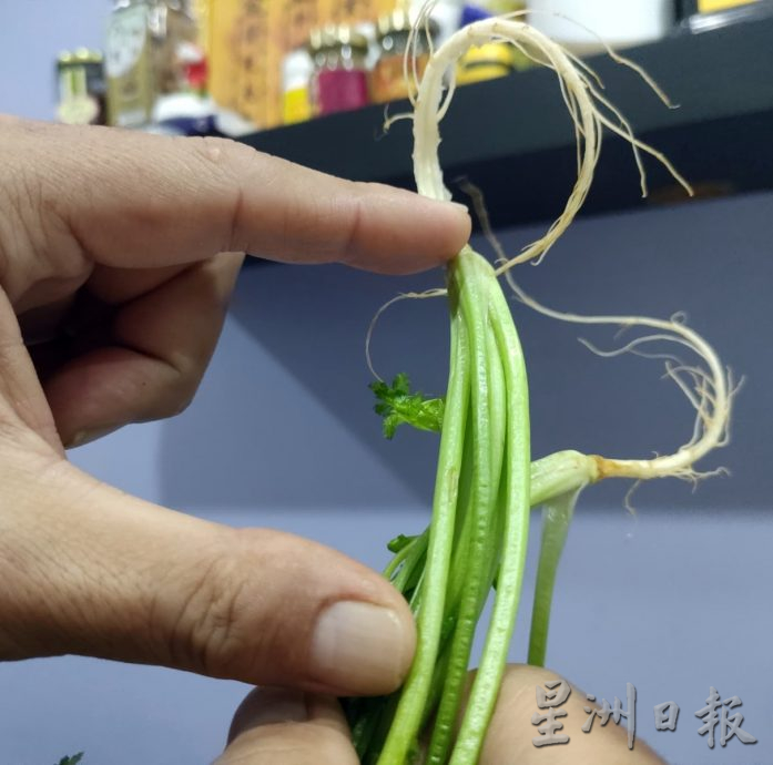 私房好菜：食谱二战穿越而来 何纳吉重现爷爷卤水鸡