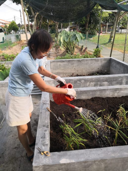 19/6 大都會-綠意盎然/美嘉花園／13圖