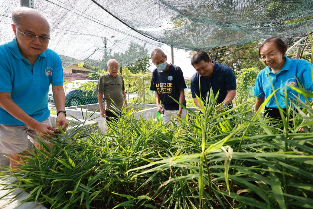 19/6 大都會-綠意盎然/美嘉花園／13圖