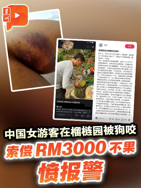 中女遊客在榴槤園被狗咬 索償RM3000