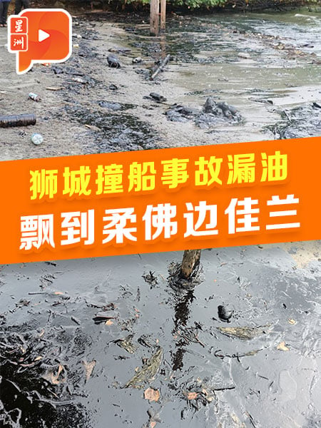 新加坡撞船事故发酵 边佳兰现油污影响渔民