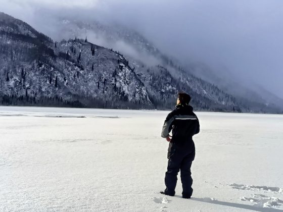 【美国】穿越冰雪，陆游阿拉斯加