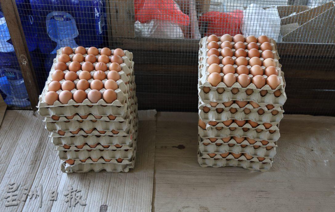 雞蛋降價3仙迴響