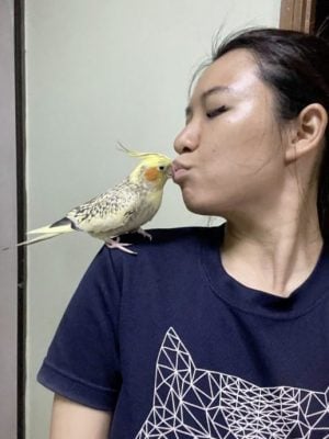 動物脊椎治療師林詩儀／揭開動物性情大變的真實原因