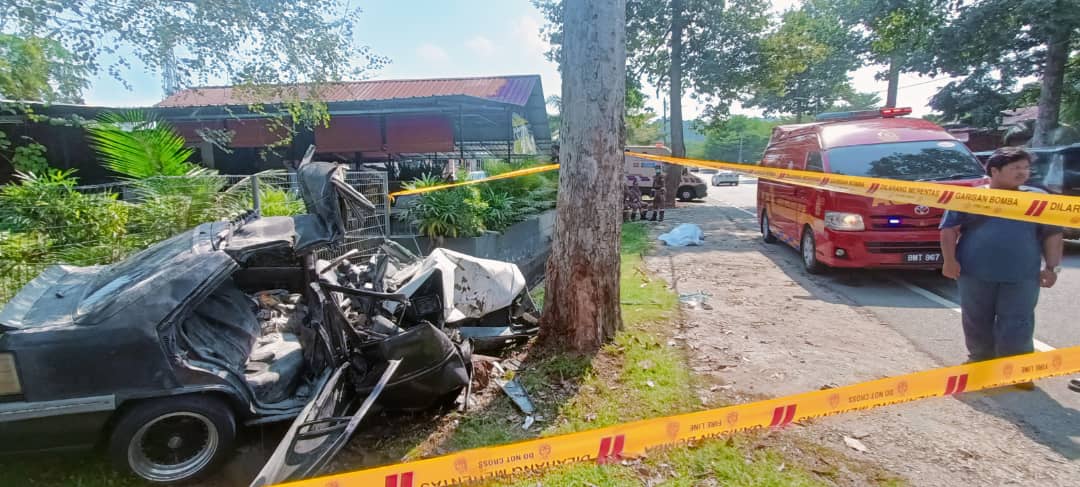 华裔男子车祸撞树当场死亡