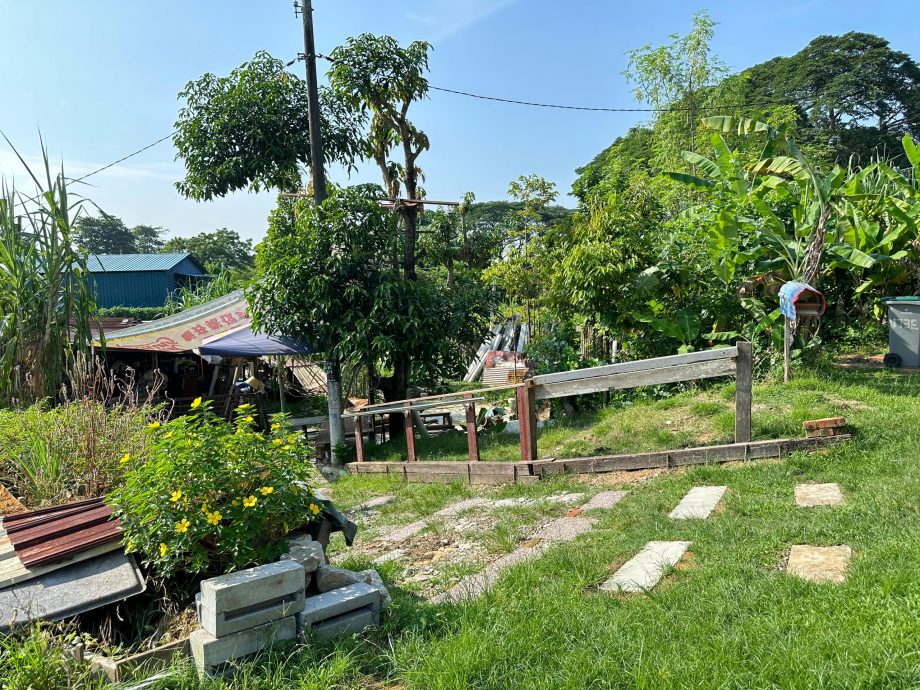 地势低长期逢雨必淹 议员拨款助民提升沟渠