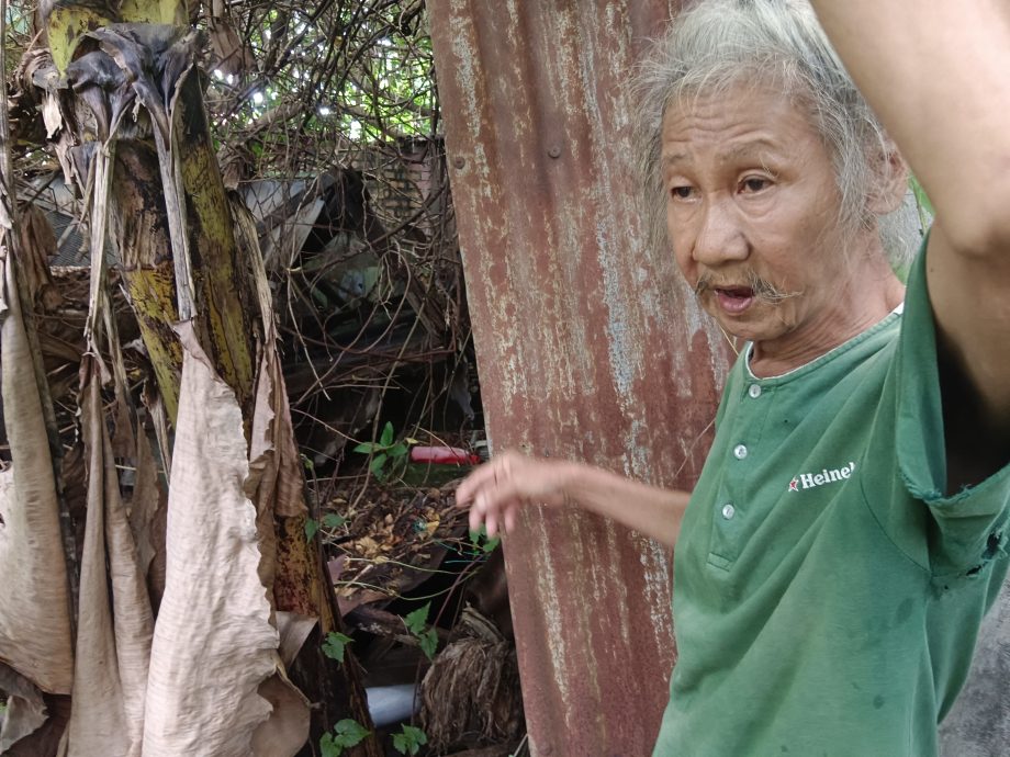 大树压塌屋顶 蛇入屋 兵如港7旬老夫妻日夜担心