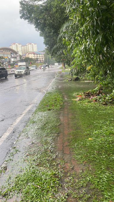 大都会/加影阿沙再也花园大路旁，沟渠被老树根缠绕，大雨就淹