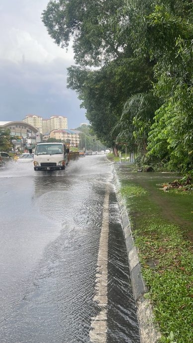 大都会/加影阿沙再也花园大路旁，沟渠被老树根缠绕，大雨就淹