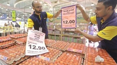 安華：撥1億每個補貼10仙  雞蛋零售價降3仙