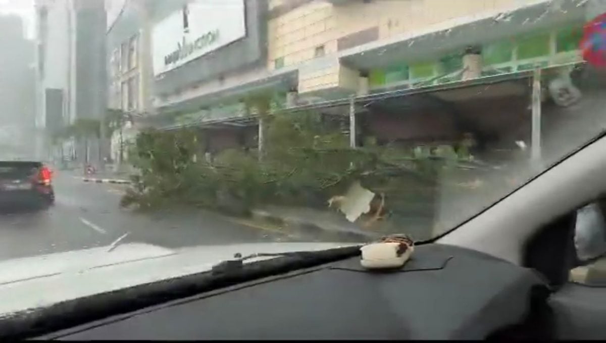已上网//隆MAJU JUNCTION商场外大雨倒树·消拯局：无人伤亡