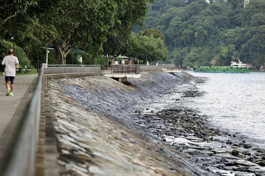 *已簽發* 柔：獅城二三事：未受漏油事故影響 獅城養殖魚可安全食用