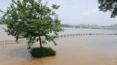 广西出现罕见降水量级  直接经济损失逾14亿人民币