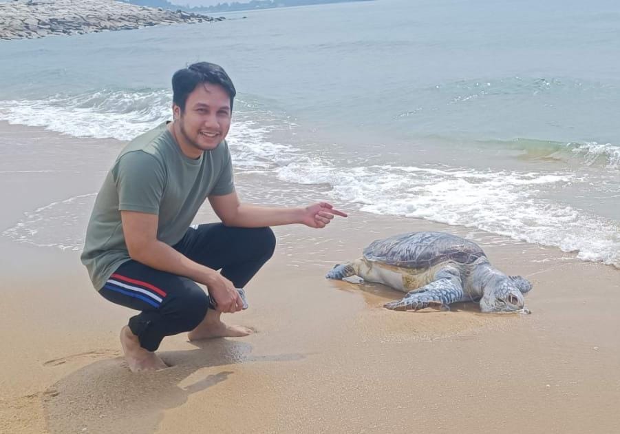 德洛力拔海滩发现一只已死亡的海龟。