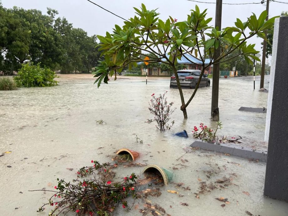 怡中午强雨  多处倒树 闪电水灾