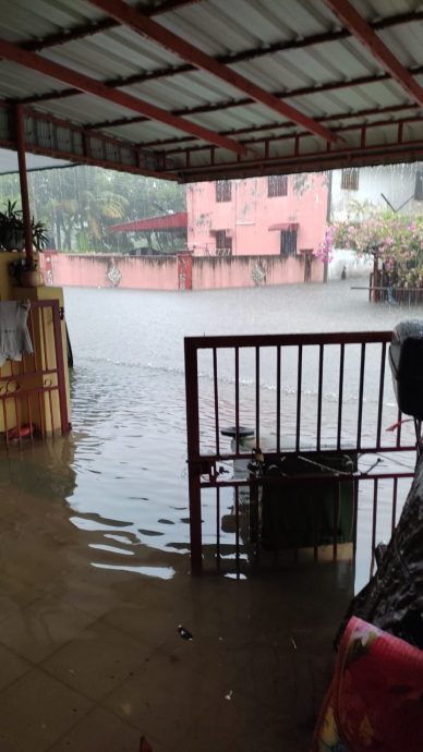 怡中午強雨  多處倒樹 閃電水災