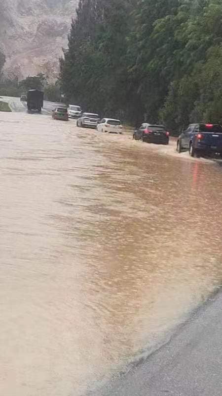 怡中午强雨  多处倒树 闪电水灾