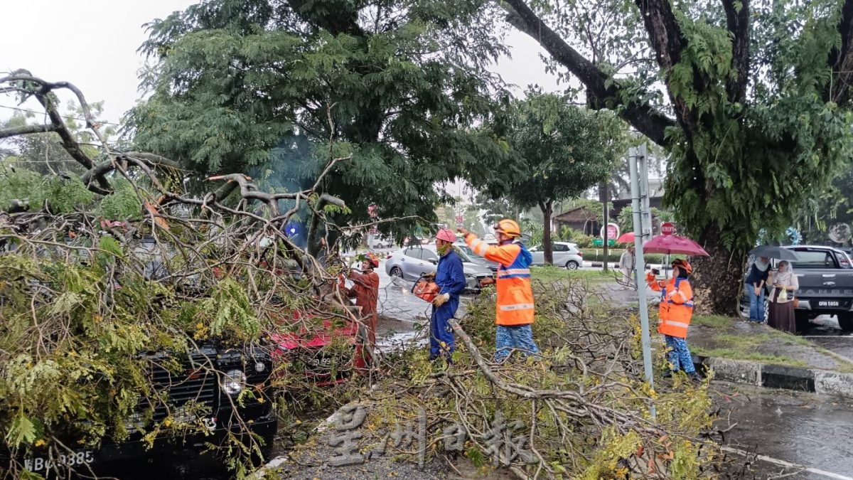 怡中午强雨  多处倒树 闪电水灾