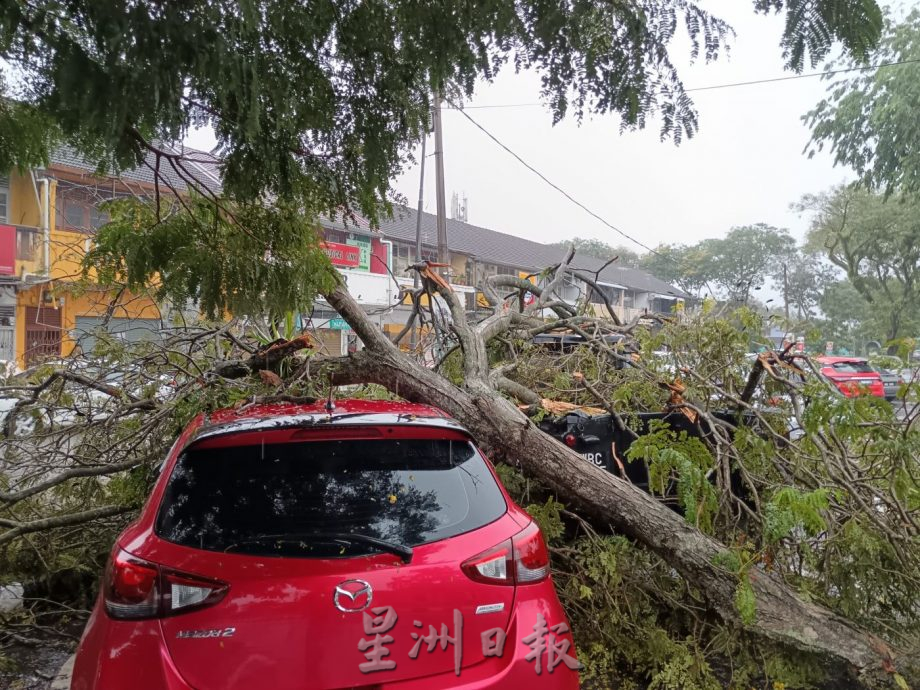 怡中午强雨  多处倒树 闪电水灾