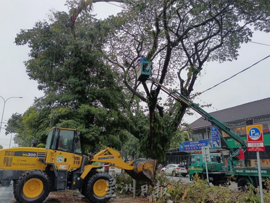 怡中午強雨  多處倒樹 閃電水災