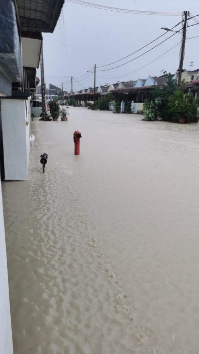 怡中午強雨  多處倒樹 閃電水災