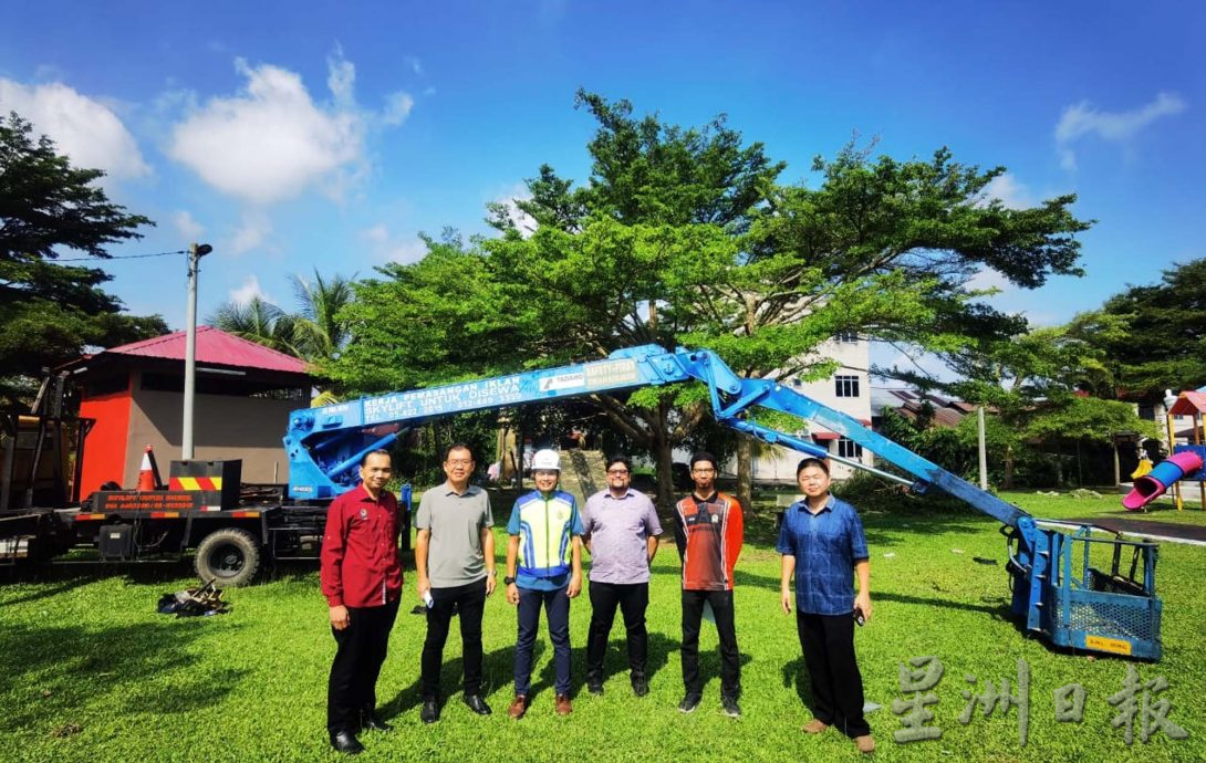 曼绒市议会聘树艺师 20区展开修剪树木工作