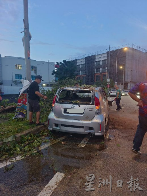 柔：车主甫下车 雨后树倒砸车 车镜碎裂  