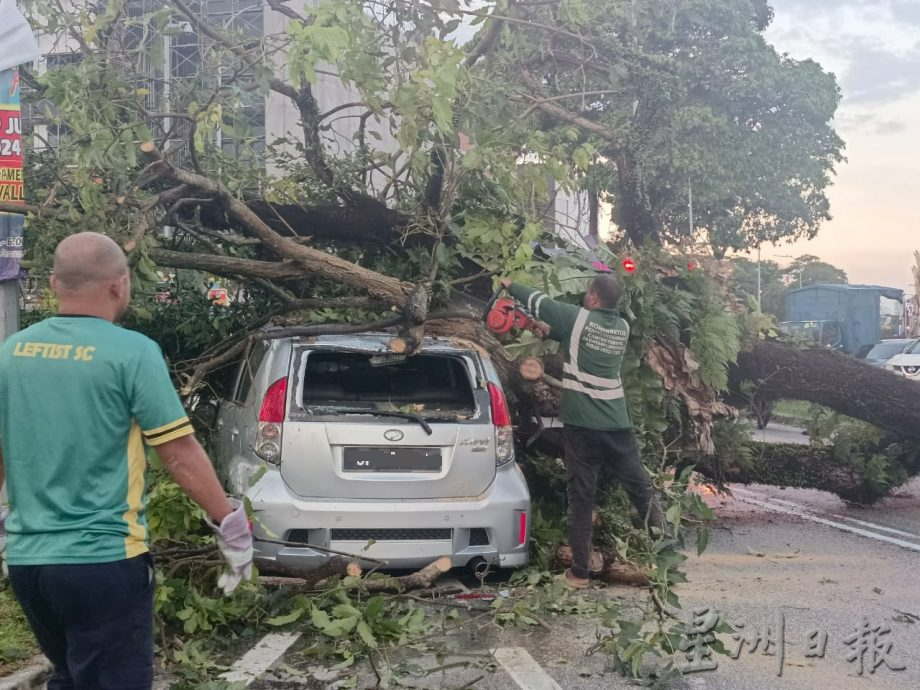 柔：车主甫下车 雨后树倒砸车 车镜碎裂  