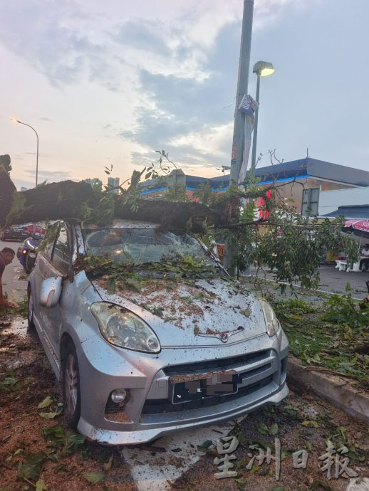 柔：车主甫下车 雨后树倒砸车 车镜碎裂  